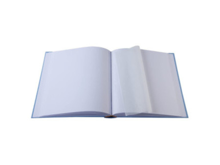 EXACOMPTA Album photos livre LAPIN TEDDY, 290 x 320 mm, bleu