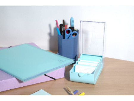 EXACOMPTA Learning box BunnyBox, A8, vert pastel
