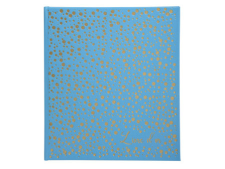 EXACOMPTA Livre d'or Plum, 210 x 190 mm, turquoise / doré
