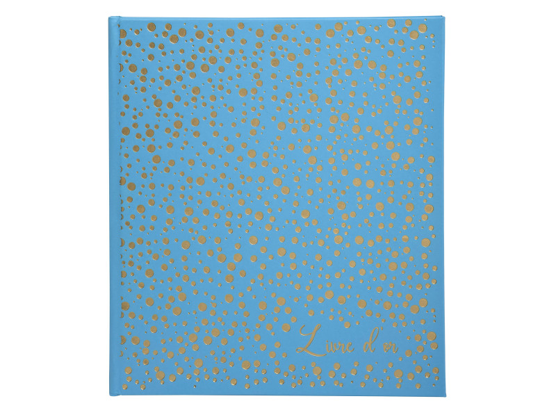 EXACOMPTA Livre d'or Plum, 210 x 190 mm, turquoise / doré
