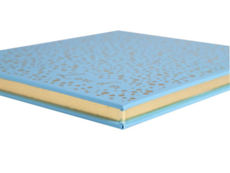 EXACOMPTA Livre d'or Plum, 210 x 190 mm, turquoise / doré