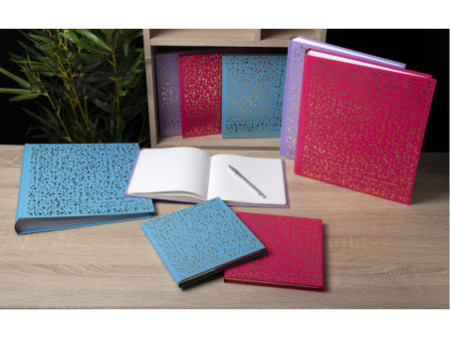 EXACOMPTA Livre d'or Plum, 210 x 190 mm, turquoise / doré