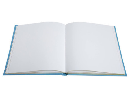 EXACOMPTA Livre d'or Plum, 210 x 190 mm, turquoise / doré