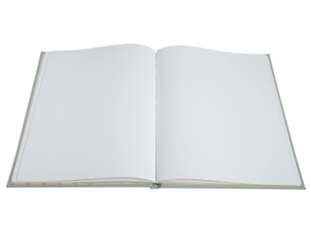 EXACOMPTA Livre d'Or Ellipse, 220 x 270 mm, vert