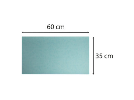 EXACOMPTA Sous-mains, 350 x 600 mm, tropique / canard