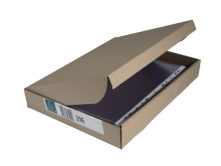 EXACOMPTA Pochette perforée, A4+, PP, transparent lisse