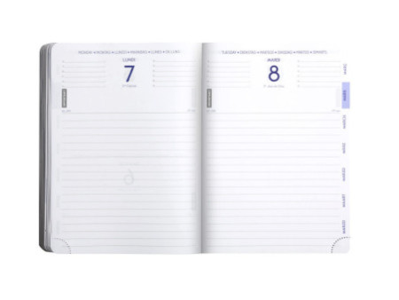 EXACOMPTA Agenda scolaire MANGA, 2025/2026, Shiba