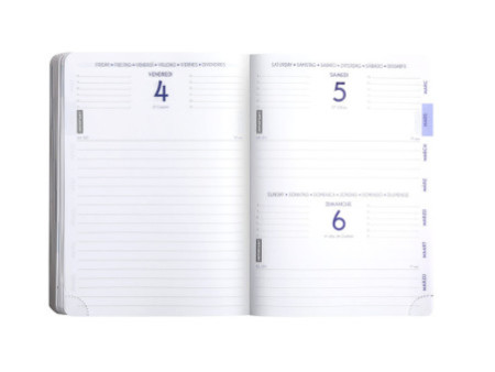 EXACOMPTA Agenda scolaire MANGA, 2025/2026, Shiba