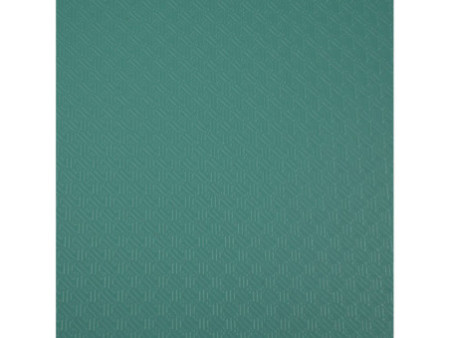 EXACOMPTA Chemise à élastiques Opaque, PP, A4, vert foncé