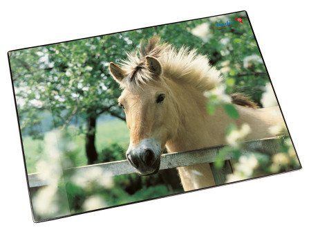Läufer Sous-main cheval à la clôture, 400 x 530 mm