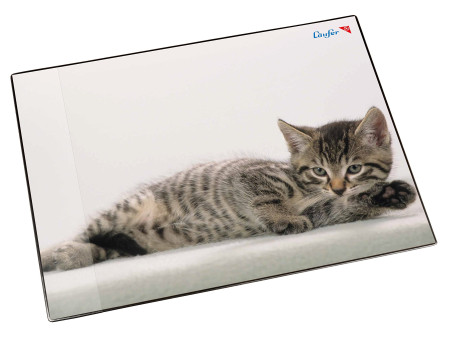Läufer Sous-main chat gris, 400 x 530 mm