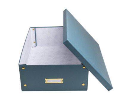 EXACOMPTA Boîte de rangement Neo Deco, A3+, bleu vert