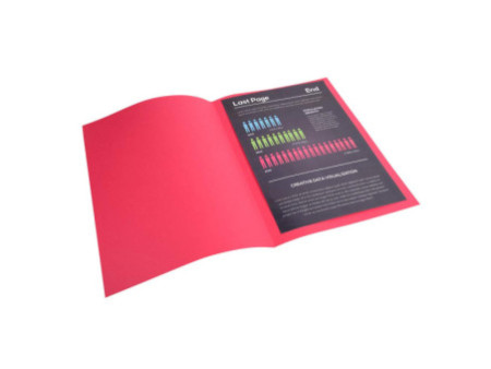 EXACOMPTA Chemises ROCK'S, A4, framboise