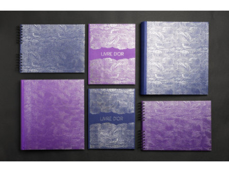 EXACOMPTA Livre d'Or Japan, 220 x 270 mm, bleu