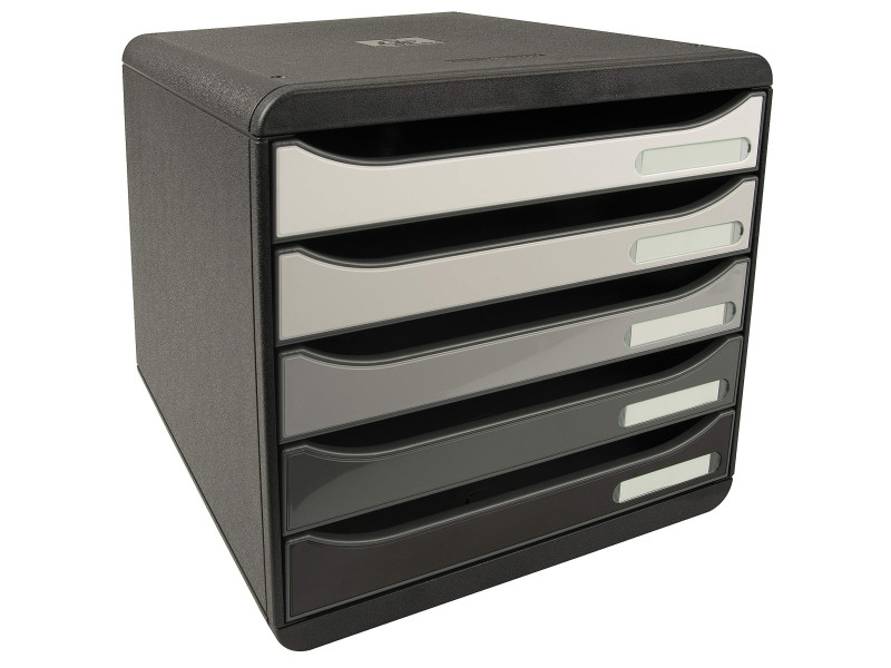 EXACOMPTA Module de classement BIG-BOX PLUS, 5 tiroirs,