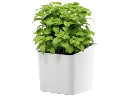 tesa KITCHEN Pot pour herbes aromatiques, blanc