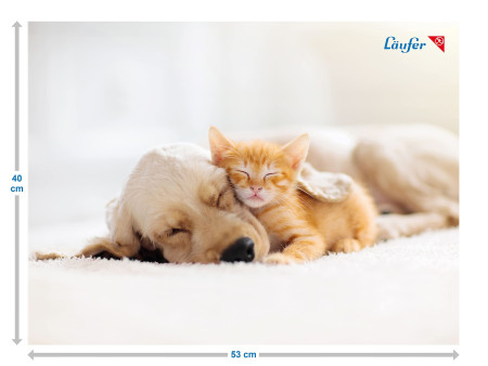 Läufer Sous-main Chien et chat, 400 x 530 mm