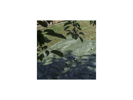 dm-folien Bâche de recouvrement, 10 x 12 m, vert, 150 g