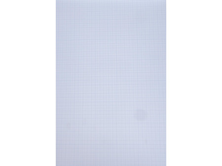 CANSON Bloc de papier millimétré, A3, 90 g/m2, bleu