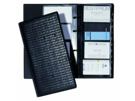 DURABLE Classeur à anneaux pour cartes de visite VISIFIX