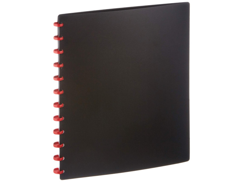 DURABLE Protège-documents DURALOOK Easy, avec 20 pochettes