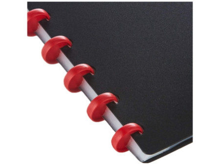 DURABLE Protège-documents DURALOOK Easy, avec 20 pochettes