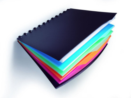 DURABLE Protège-documents DURALOOK STYLE, A4, avec 20