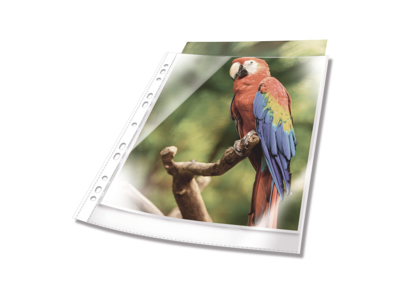 DURABLE Pochette perforée PREMIUM, A4, PP, bord blanc