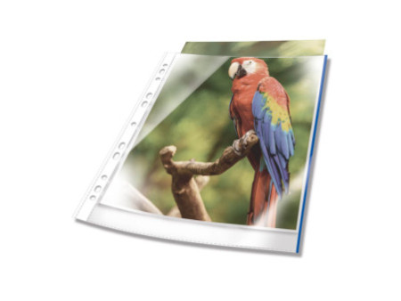 DURABLE Pochette perforée PREMIUM, A4, PP, bord bleu