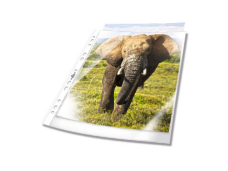 DURABLE Pochette perforée, A4, PP, transparent grainé