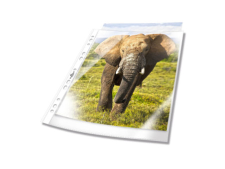 DURABLE Pochette perforée, A4, PP, 0,06 mm, transparent
