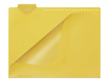 DURABLE Chemise pour fiches bristol, A4, trous de blocage