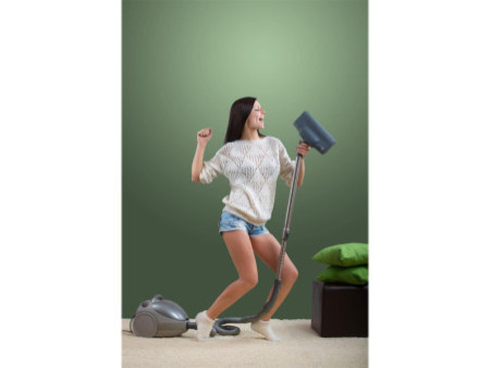 swirl Sac d'aspirateur S 71, avec filtre MicroporPlus