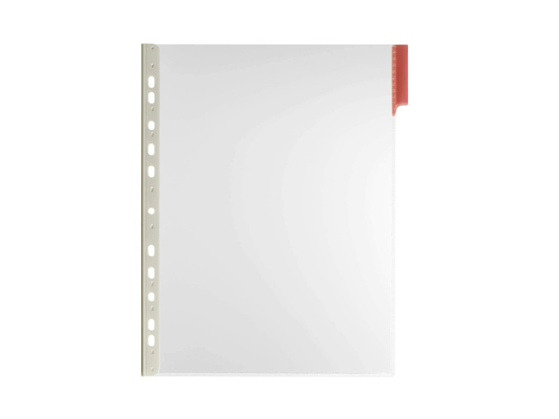 DURABLE Plaque pochette FUNCTION, A4, transparent