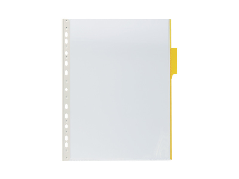 DURABLE Plaque pochette FUNCTION, A4, transparent