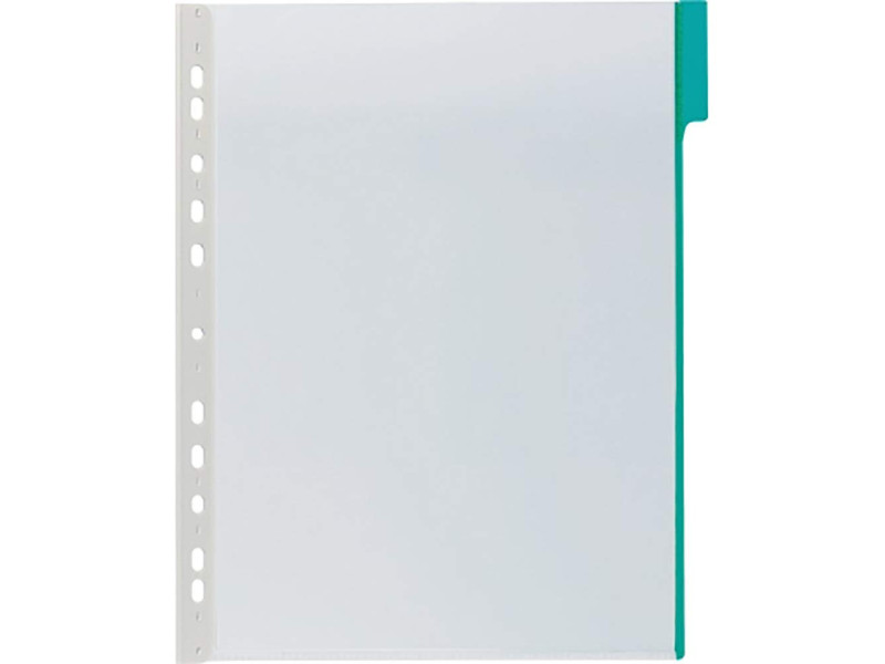 DURABLE Plaque pochette FUNCTION, A4, transparent