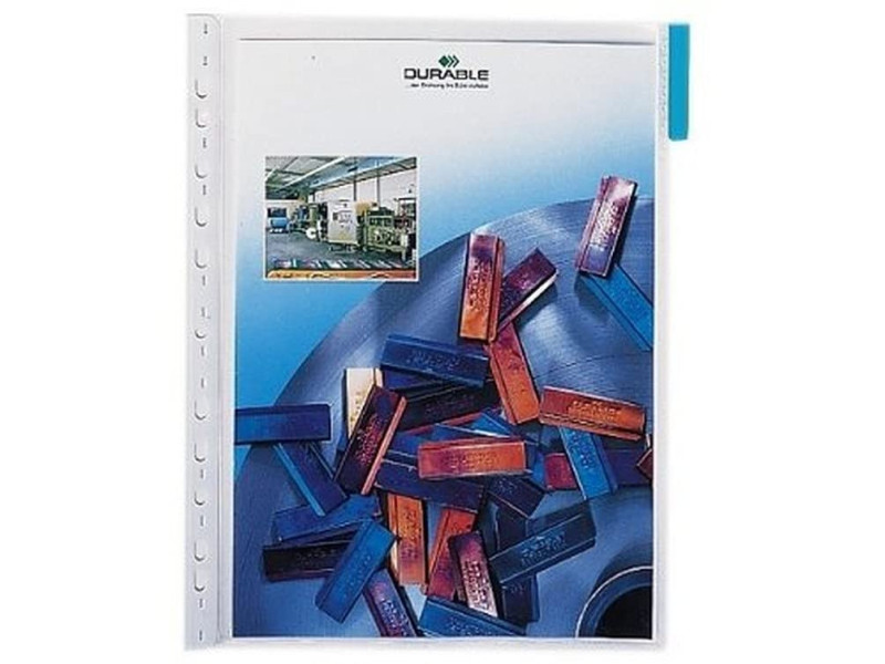 DURABLE Plaque pochette FUNCTION, A4, transparent