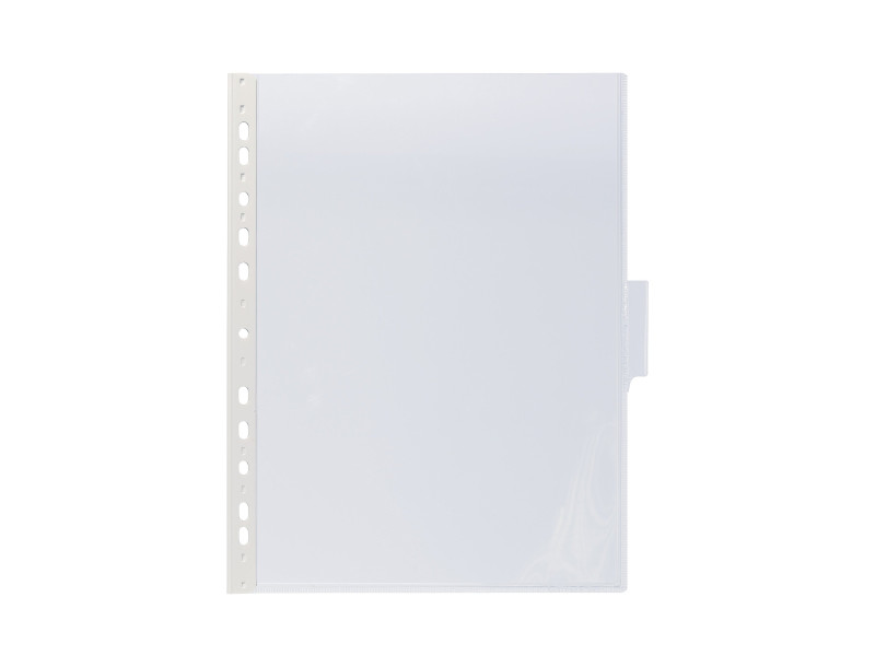DURABLE Plaque pochette FUNCTION, A4, transparent