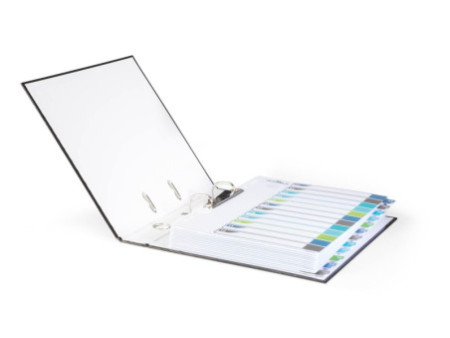 DURABLE Intercalaire en plastique, numérique, A4+