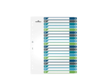 DURABLE Intercalaire en plastique, numérique, A4+