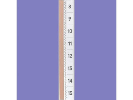 DURABLE Onglet autocollant TABFIX, 2 lignes, transparent
