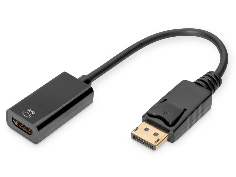 DIGITUS Adaptateur DisplayPort / convertisseur, 0,2 m