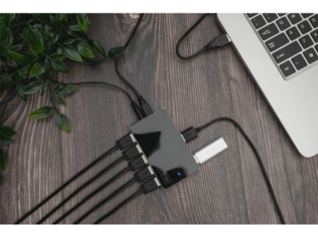 DIGITUS Hub USB 2.0, 10 ports, noir