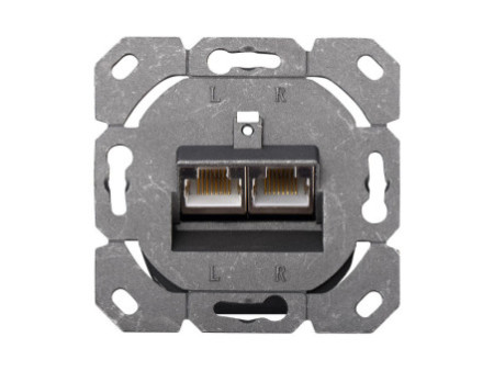 DIGITUS Boîte de connexion cat 6.A (profond), 2 x RJ45,