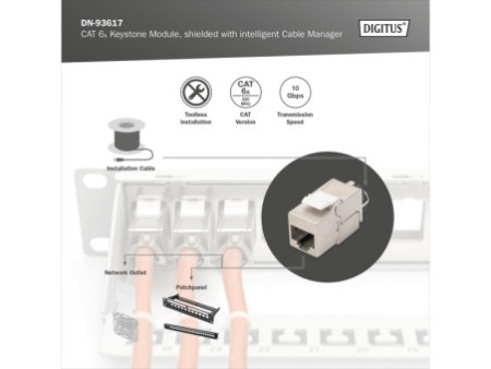 DIGITUS Module Keystone cat.6A, blindé, gris