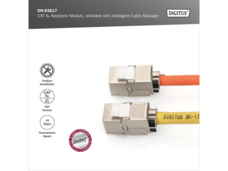 DIGITUS Module Keystone cat.6A, blindé, gris