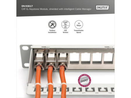 DIGITUS Module Keystone cat.6A, blindé, gris