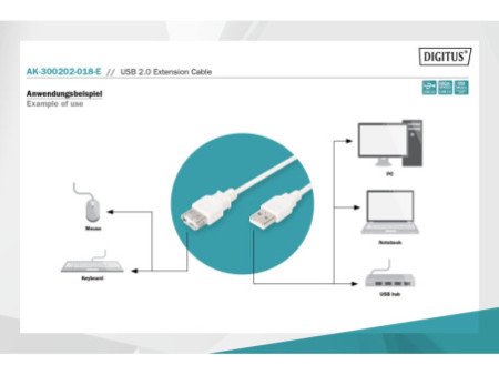 DIGITUS Rallonge USB 2.0, 1,8 m, beige