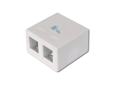 DIGITUS Boîtier vide pour 2 modules Keystone, blanc pur