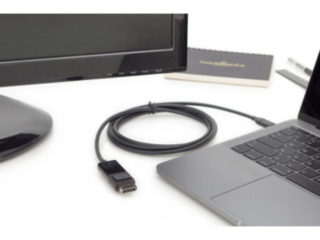 DIGITUS Câble adaptateur USB Type-C Gen 2, 2,0 m